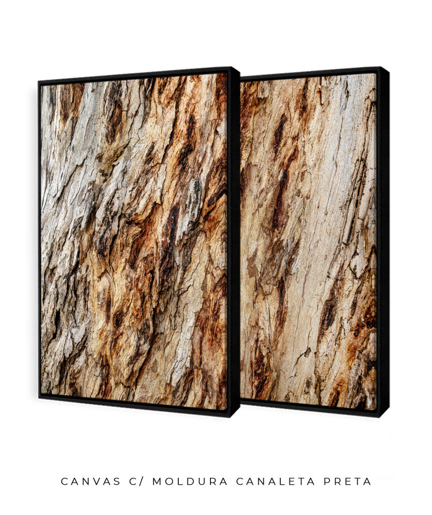 Quadro Decorativo Texturas - Madeira - Dupla