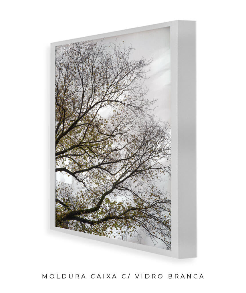 Quadro Decorativo Árvores e Galhos - Folhas secas Vertical