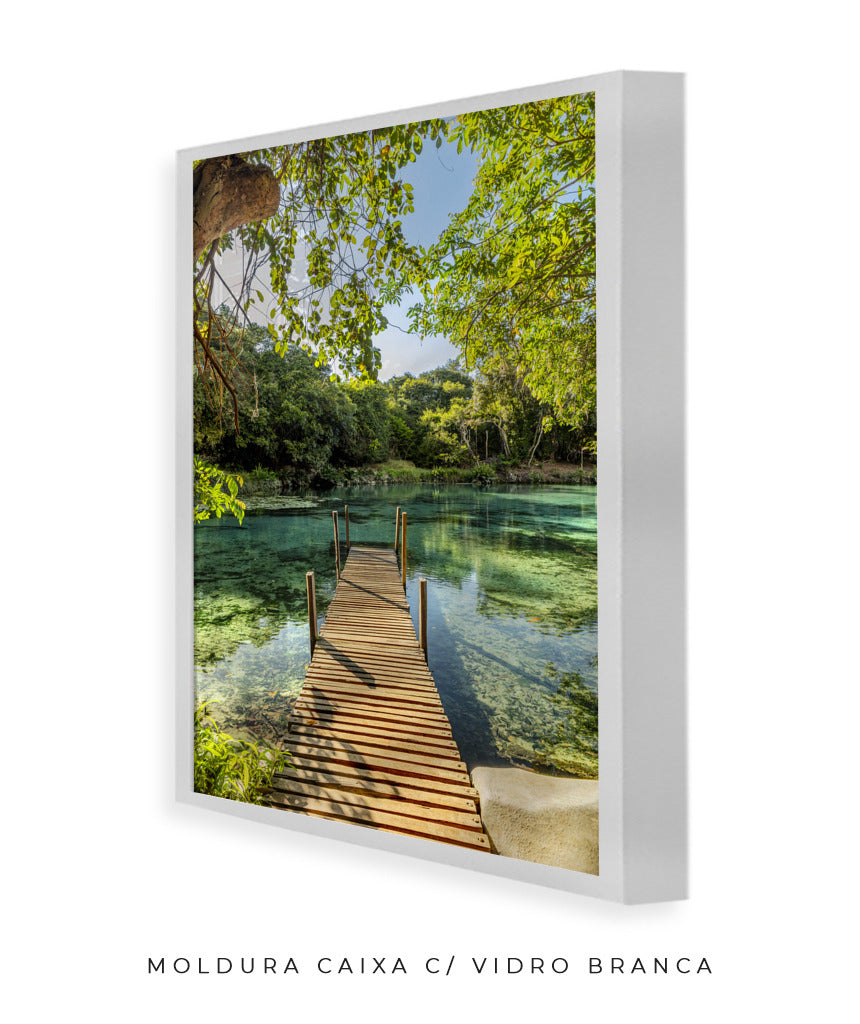 Quadro Decorativo Chapada Diamantina - Ponte para Paraíso-Vertical