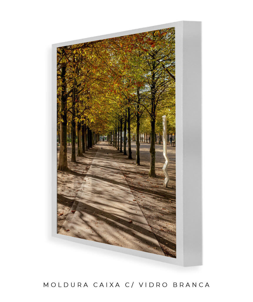 Quadro Decorativo Árvores e Galhos - Espaço para caminhada