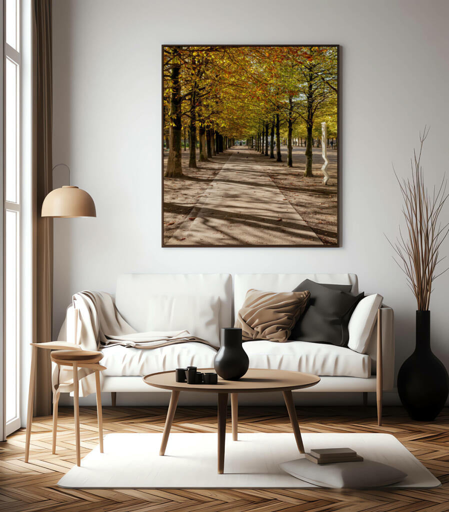 Quadro Decorativo Árvores e Galhos - Espaço para caminhada