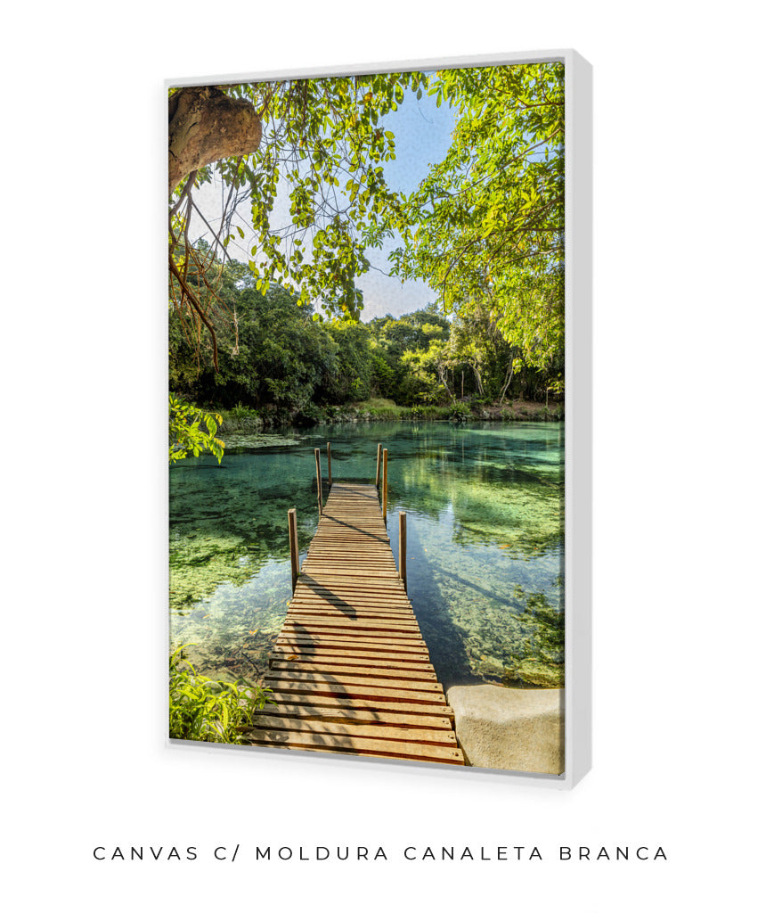 Quadro Decorativo Chapada Diamantina - Ponte para Paraíso-Vertical