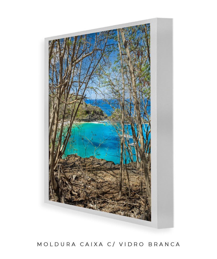 Quadro Decorativo Portais Praia