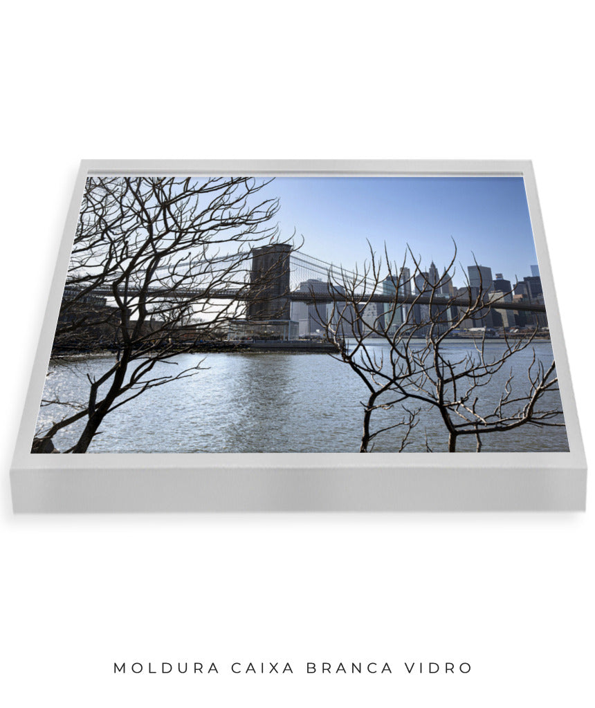 Quadro Decorativo Lago de Nova York - Horizontal