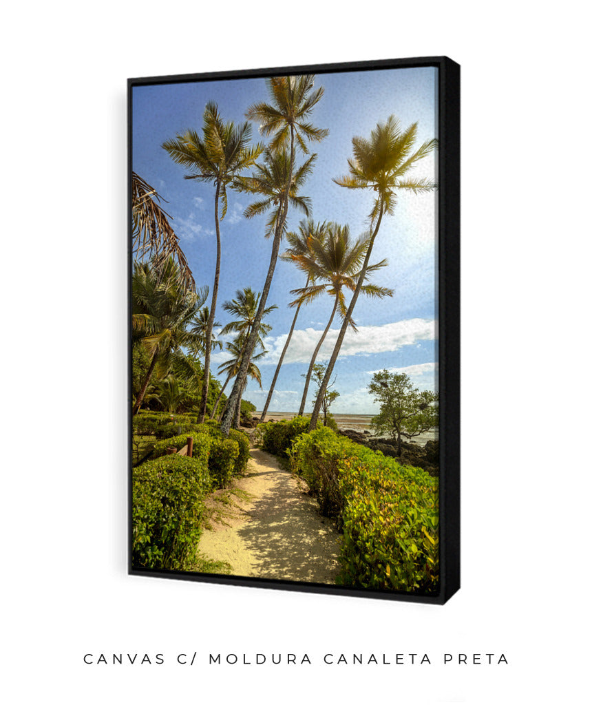 Quadro Decorativo Portais - Coqueiros