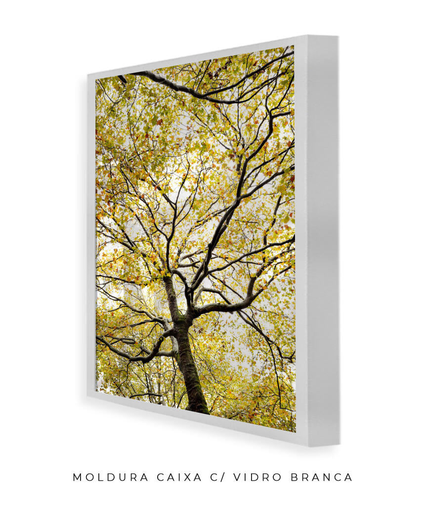 Quadro Decorativo Árvores e Galhos - Folhas verdes Vertical