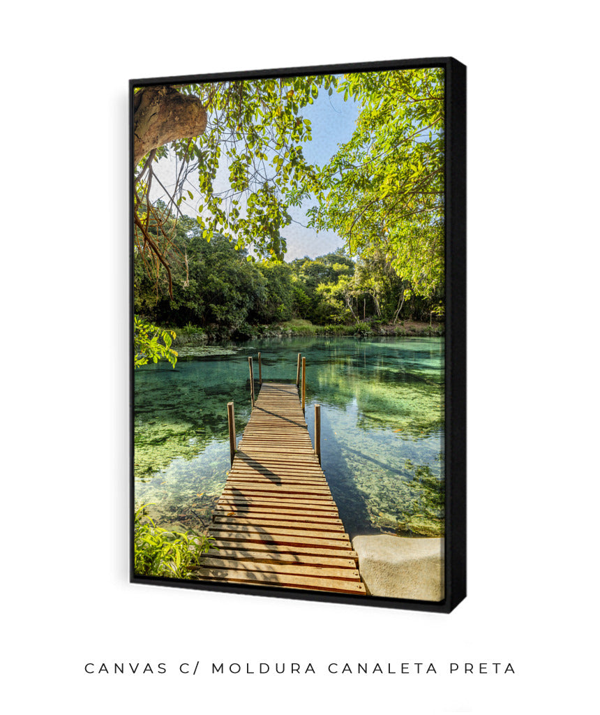 Quadro Decorativo Chapada Diamantina - Ponte para Paraíso-Vertical