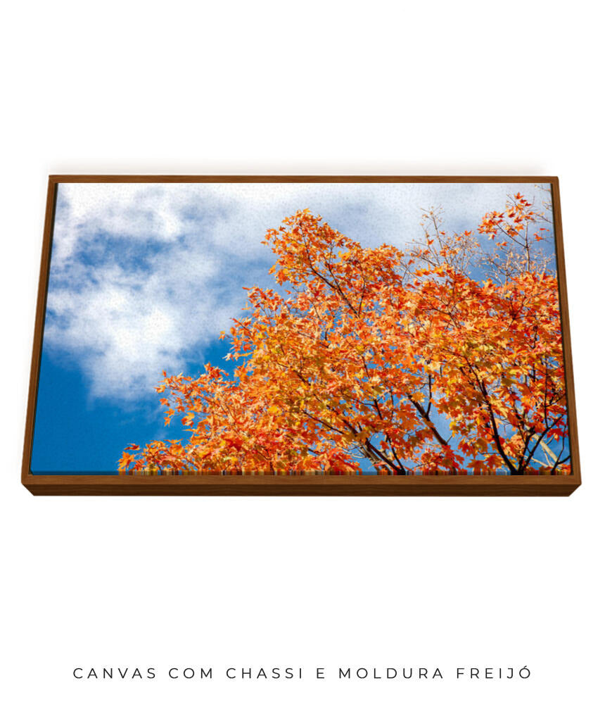 Quadro Decorativo Árvores e Galhos - Folhas laranjas