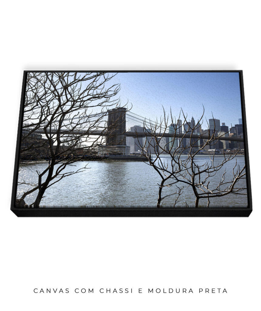 Quadro Decorativo Lago de Nova York