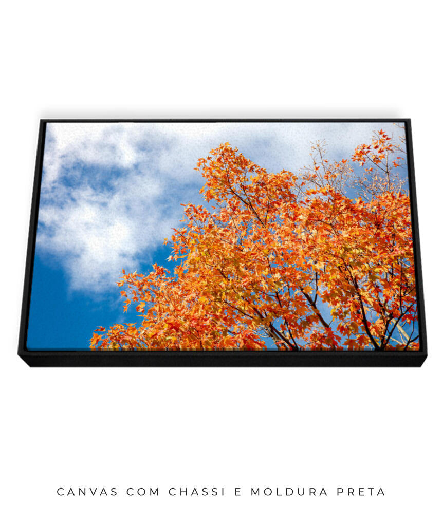 Quadro Decorativo Árvores e Galhos - Folhas laranjas