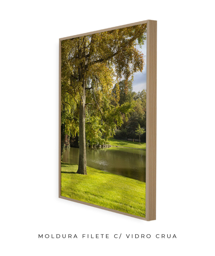 Quadro Decorativo Portais Natureza