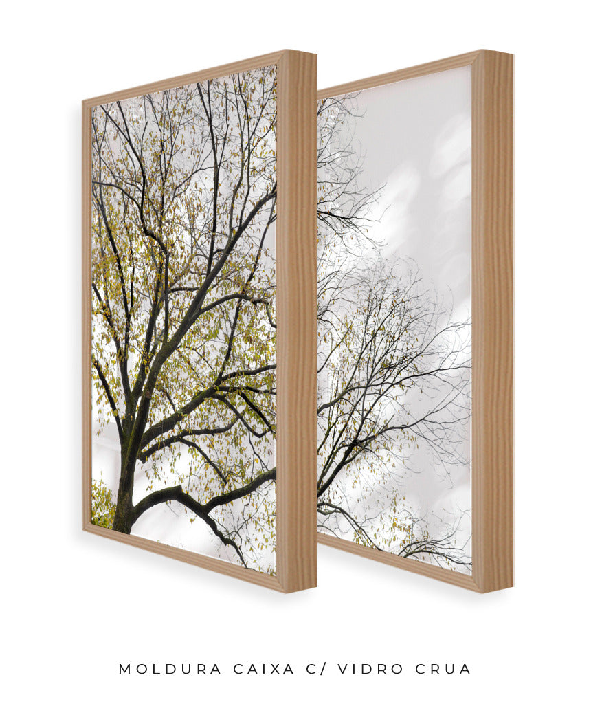Quadro Decorativo Galhos Secos -Dupla