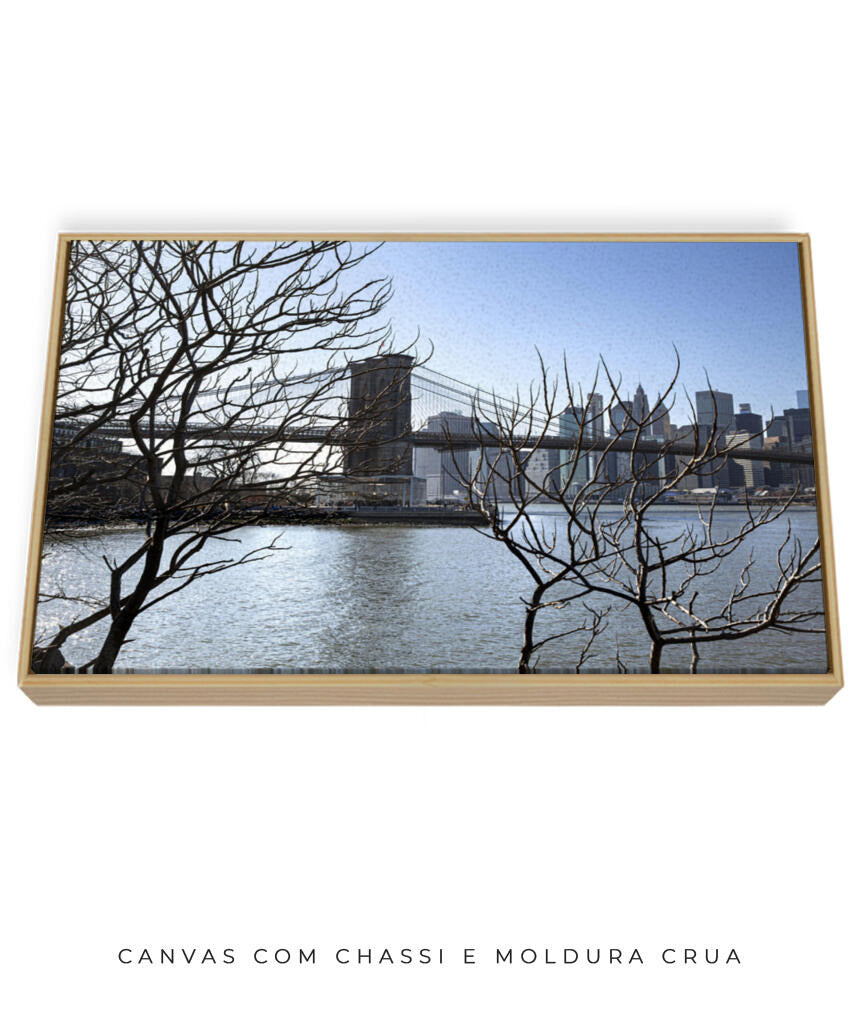 Quadro Decorativo Lago de Nova York