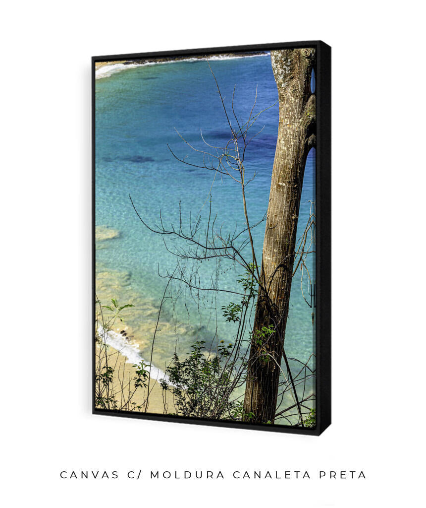 Quadro Decorativo Noronha - Mar Vertical