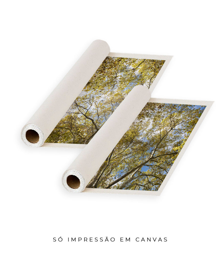 Quadro Decorativo Galhos e Árvores - Dupla