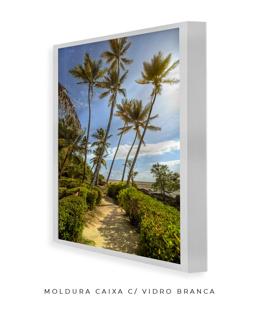 Quadro Decorativo Portais - Coqueiros