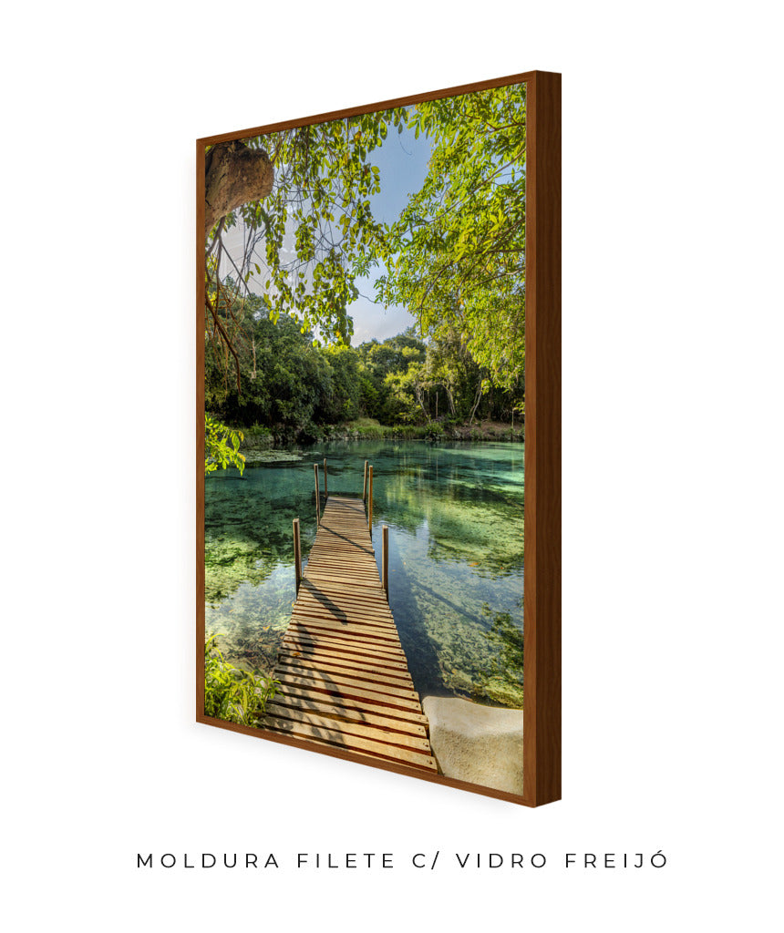 Quadro Decorativo Chapada Diamantina - Ponte para Paraíso-Vertical