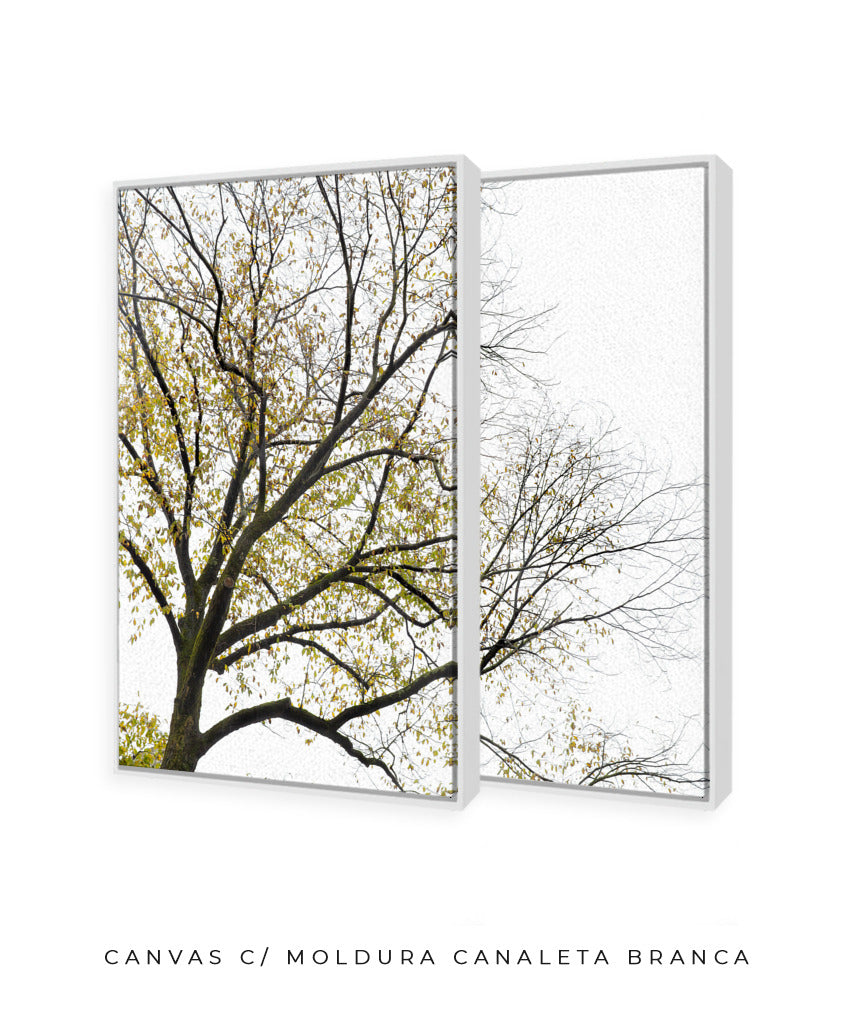 Quadro Decorativo Galhos Secos -Dupla