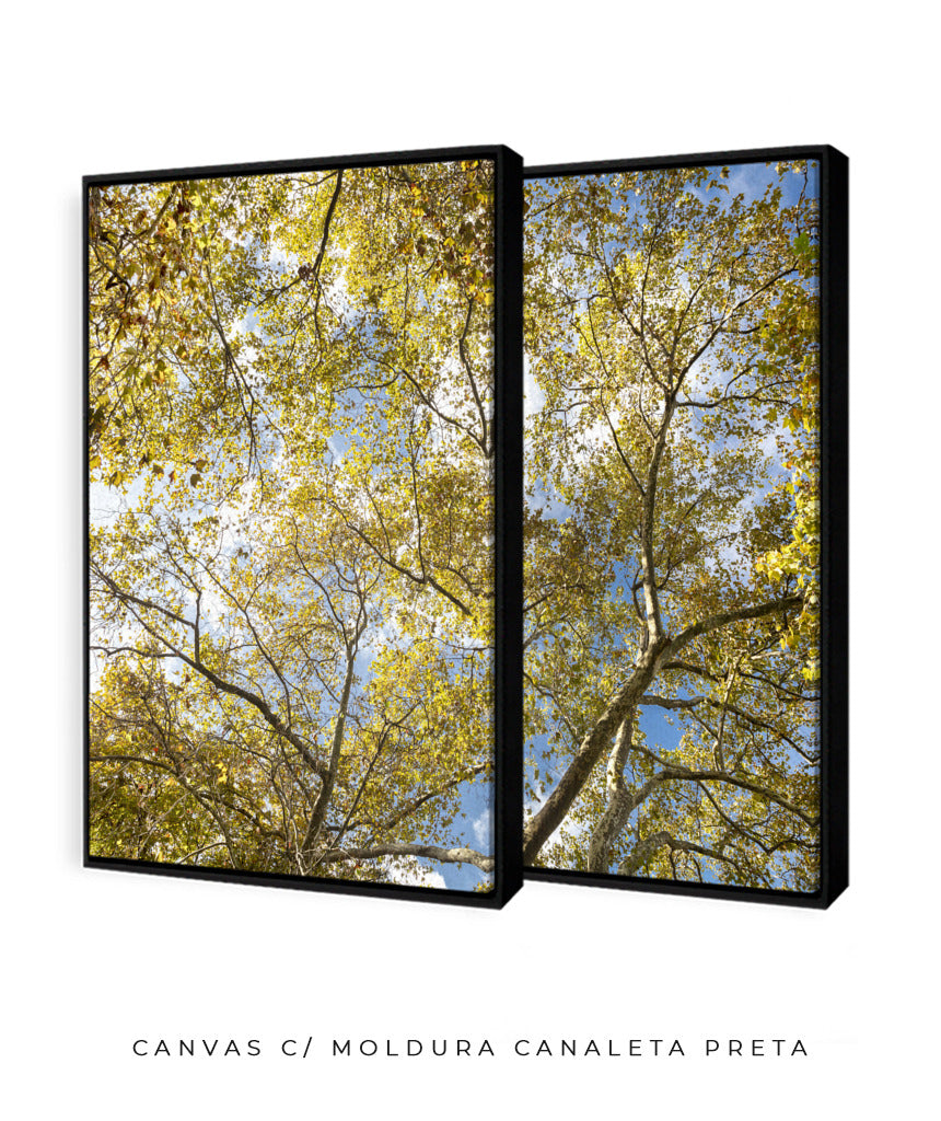Quadro Decorativo Galhos e Árvores - Dupla