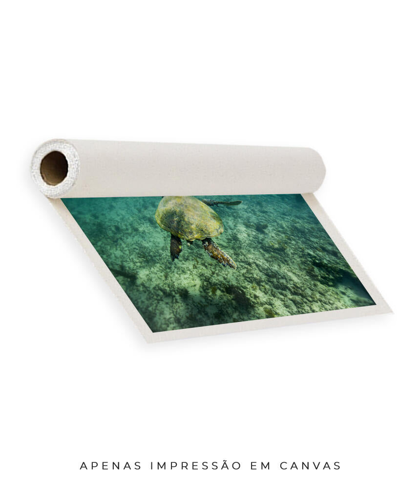 Quadro Decorativo Noronha - Tartaruga no Fundo do Mar