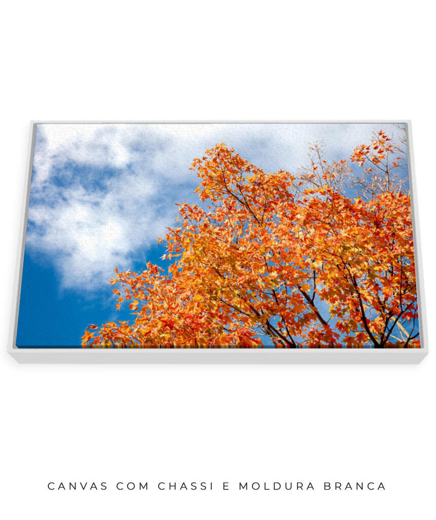 Quadro Decorativo Árvores e Galhos - Folhas laranjas