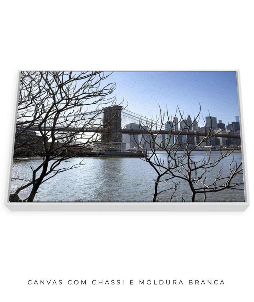 Quadro Decorativo Lago de Nova York
