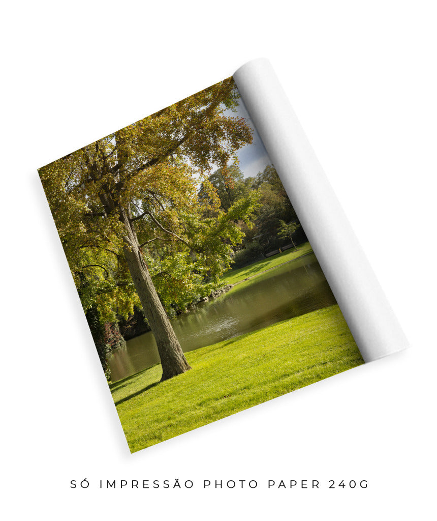 Quadro Decorativo Portais Natureza