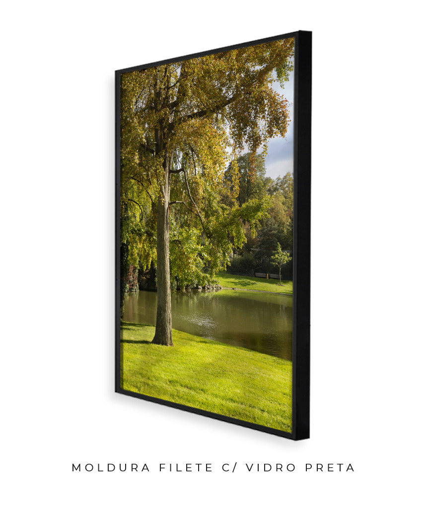Quadro Decorativo Portais Natureza