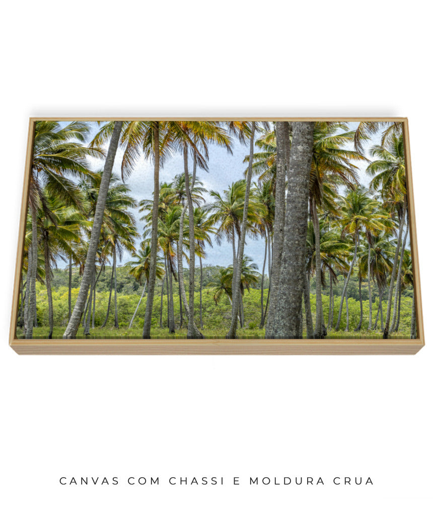 Quadro Decorativo Coqueiros Sépia - Horizontal
