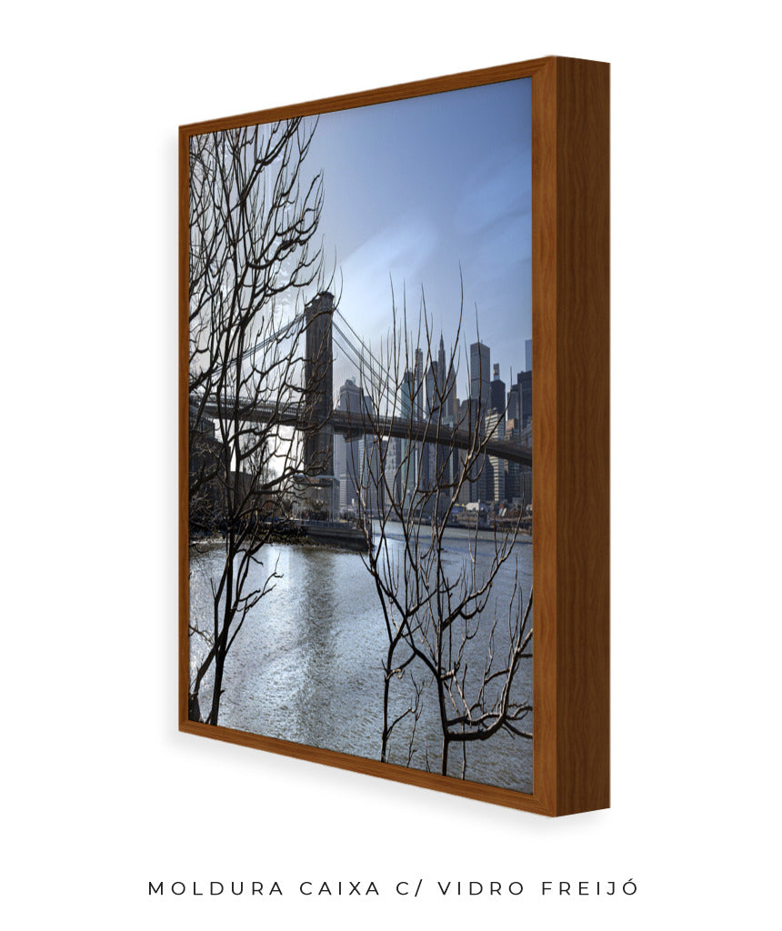 Quadro Decorativo Lago de Nova York