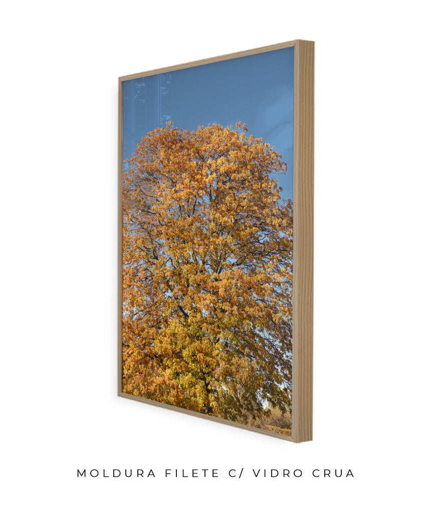 Quadro Decorativo Árvore Amarela