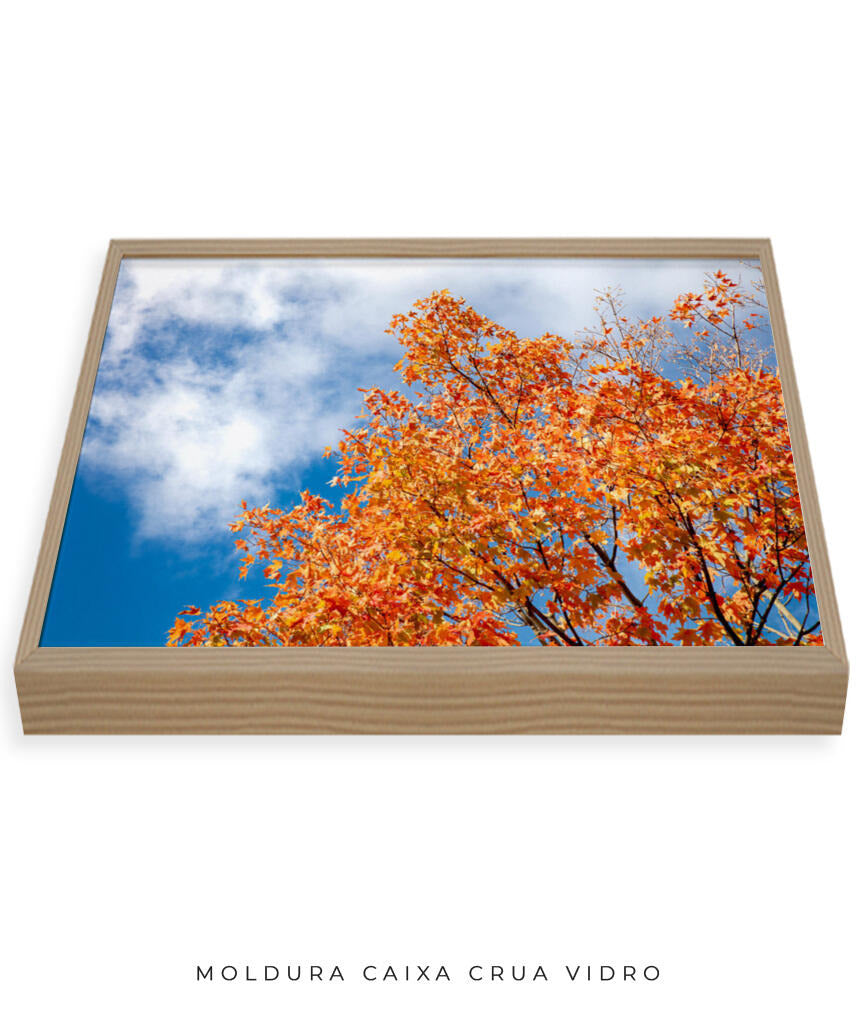 Quadro Decorativo Árvores e Galhos - Folhas laranjas