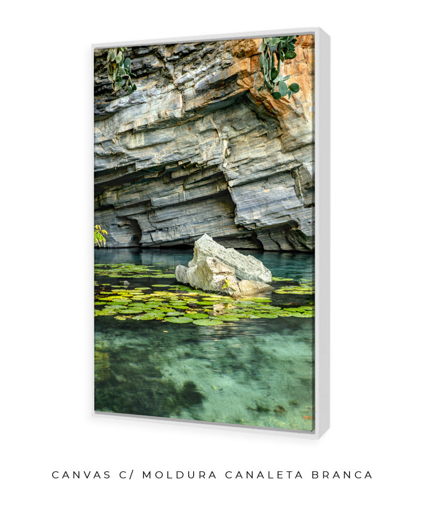 Quadro Decorativo Chapada Diamantina -Vitória Régia- Vertical