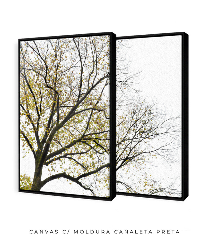 Quadro Decorativo Galhos Secos -Dupla