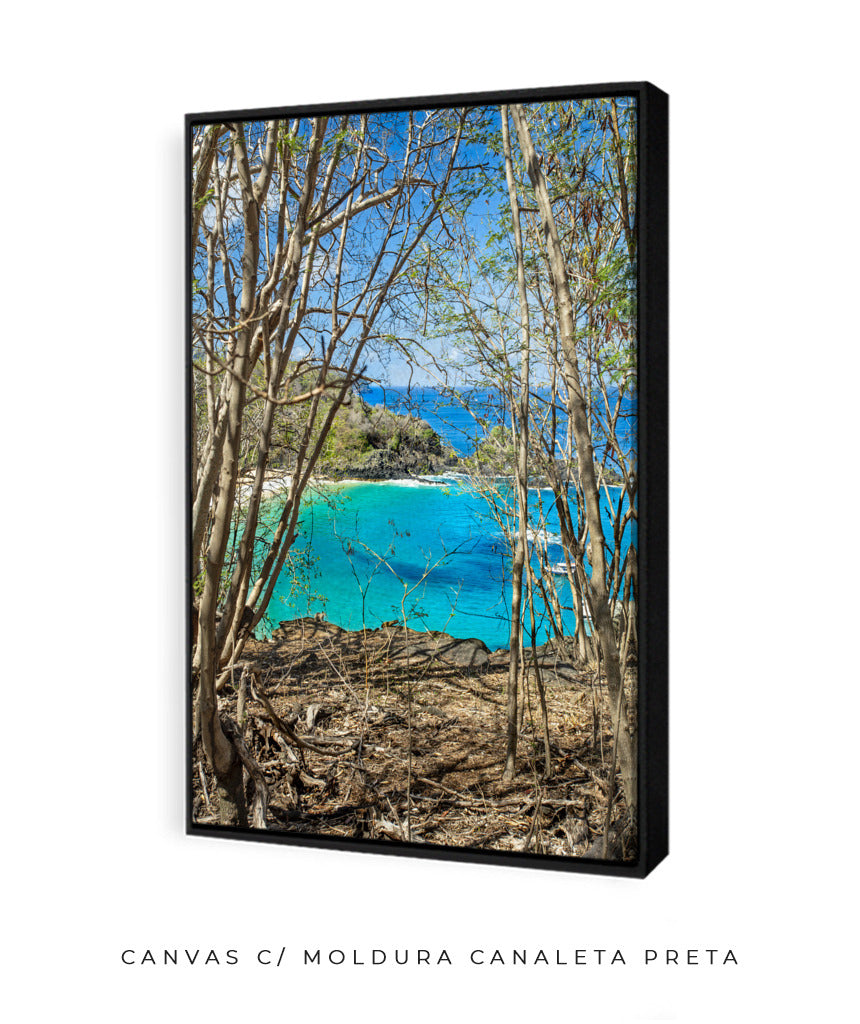 Quadro Decorativo Portais Praia