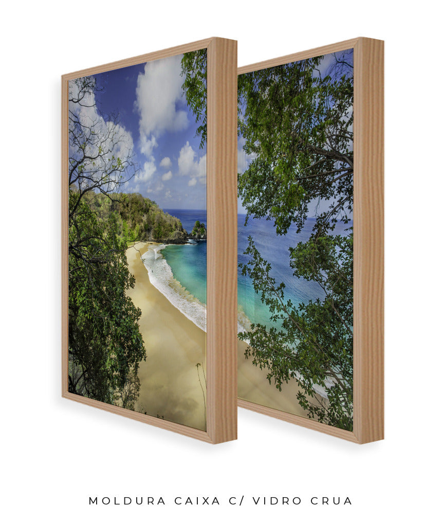 Quadro Decorativo Praia e mar,galhos verdes - Dupla