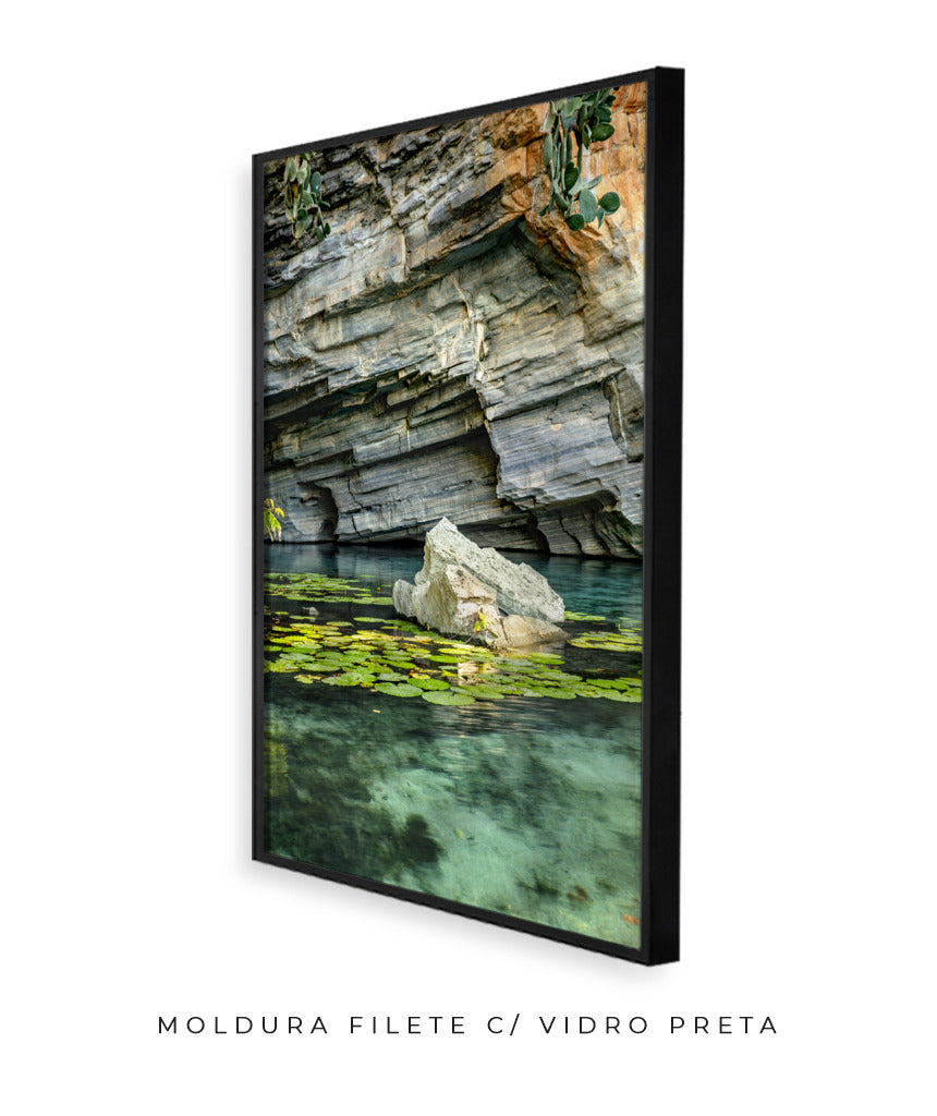 Quadro Decorativo Chapada Diamantina -Vitória Régia- Vertical