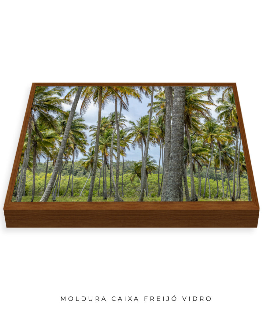 Quadro Decorativo Coqueiros Sépia - Horizontal