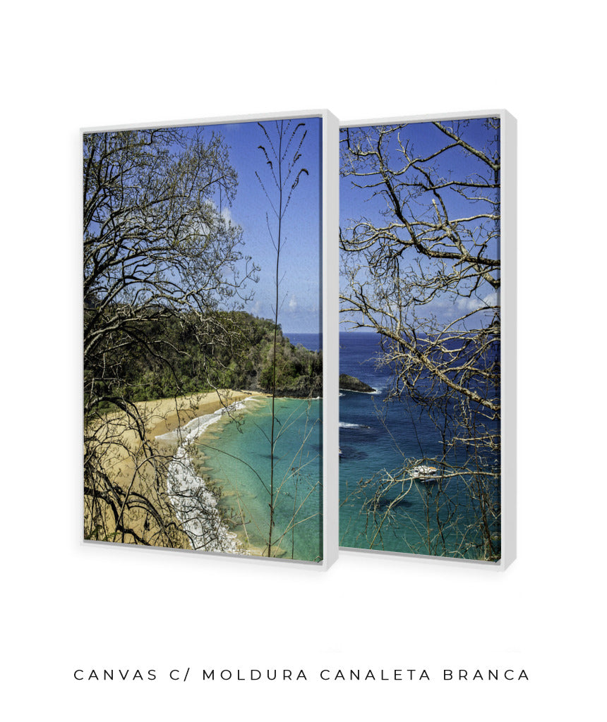 Quadro Decorativo Praia, Mar e Galhos Secos -Dupla