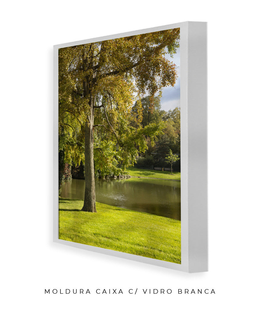 Quadro Decorativo Portais Natureza