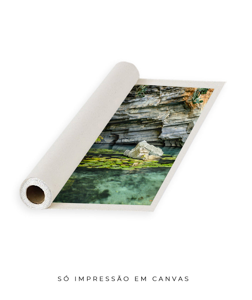 Quadro Decorativo Chapada Diamantina -Vitória Régia- Vertical