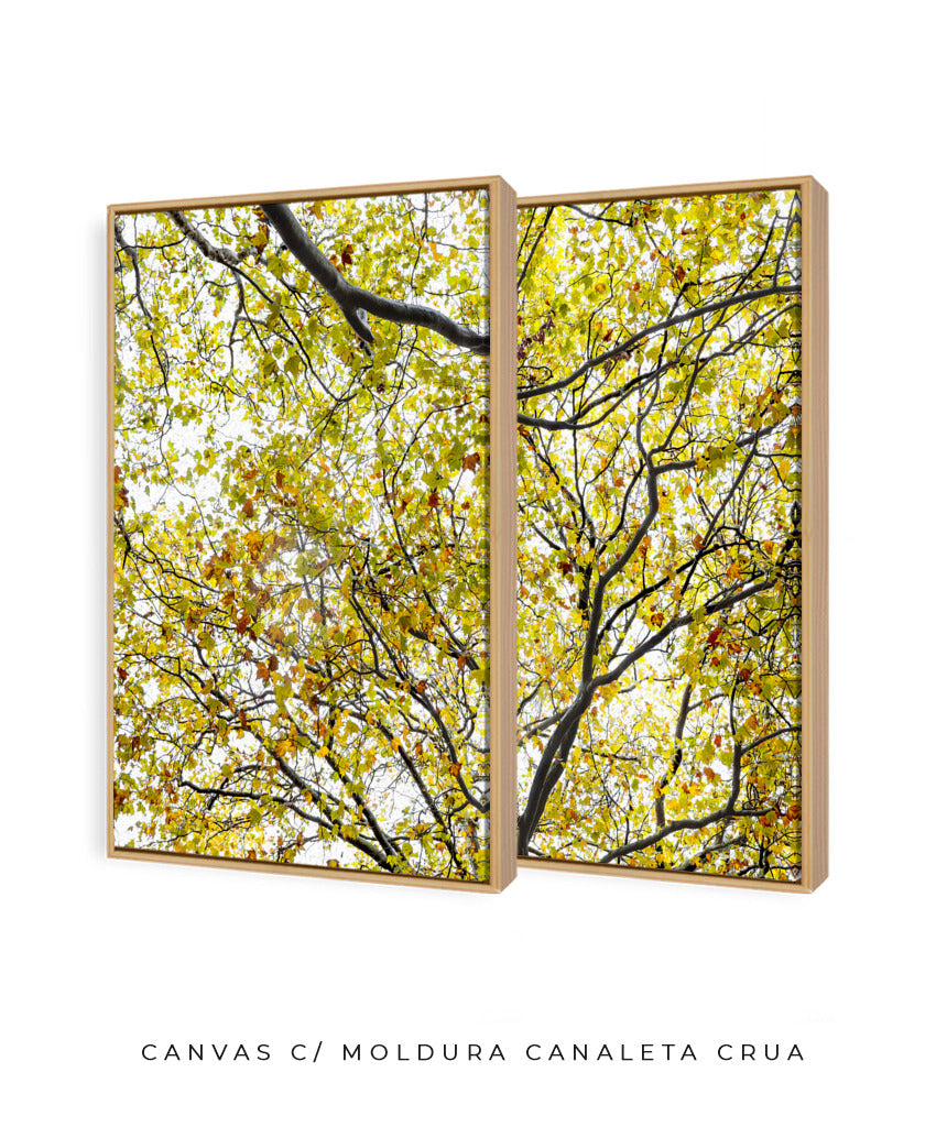 Quadro Decorativo Árvore com Galhos Verdes-Dupla