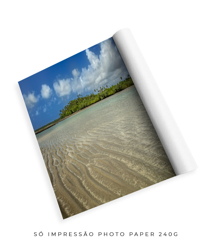 Quadro Decorativo Praia , Areia e Árvores.