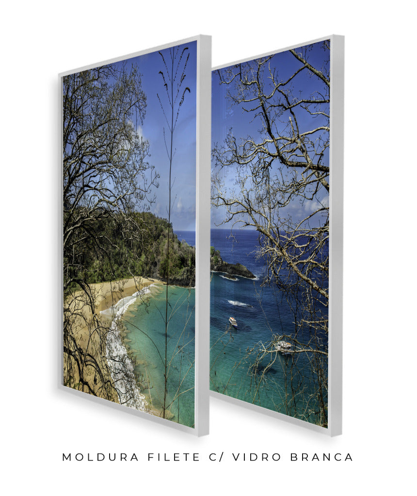 Quadro Decorativo Praia, Mar e Galhos Secos -Dupla