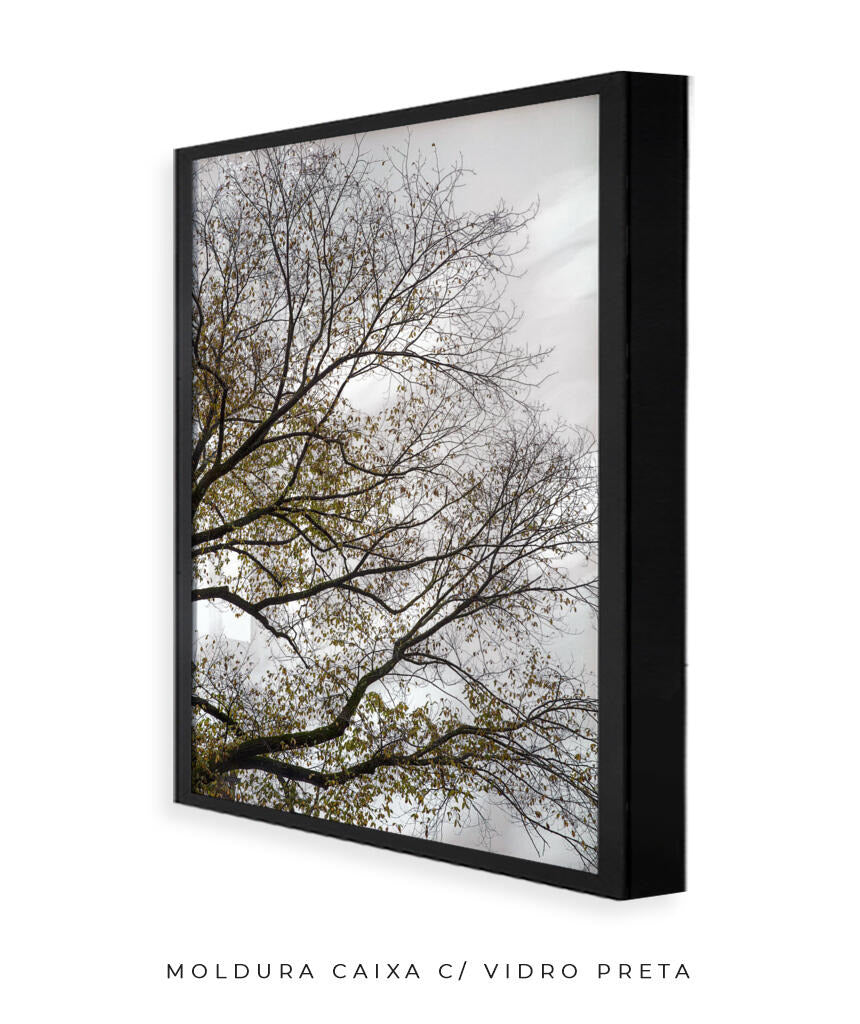 Quadro Decorativo Árvores e Galhos - Folhas secas Vertical