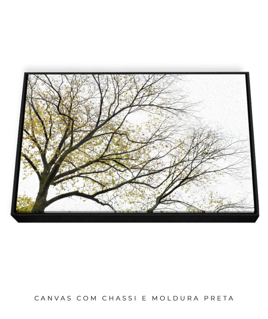 Quadro Decorativo Galhos Secos - Horizontal