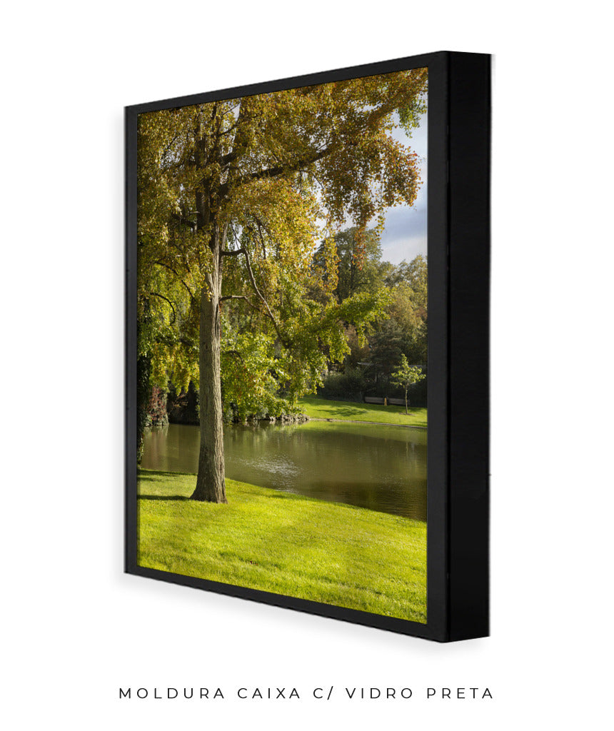 Quadro Decorativo Portais Natureza