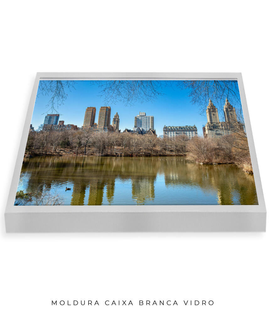 Quadro Decorativo Nova York - Prédios Central Park