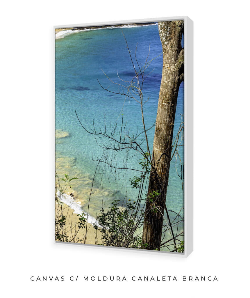 Quadro Decorativo Noronha - Mar Vertical