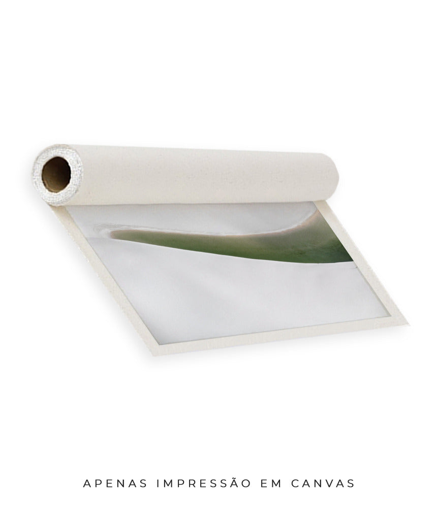 Quadro Decorativo Abstrato e curvas -Tons Branco, Cinza e Verde - Horizontal